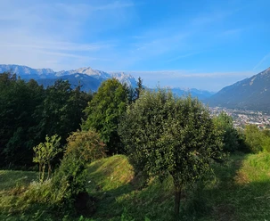 Blick nach Garmisch-Partenkirchen Blick über bewaldete Hänge auf Garmisch-Partenkirchen mit Alpenkette im klaren Morgenlicht.