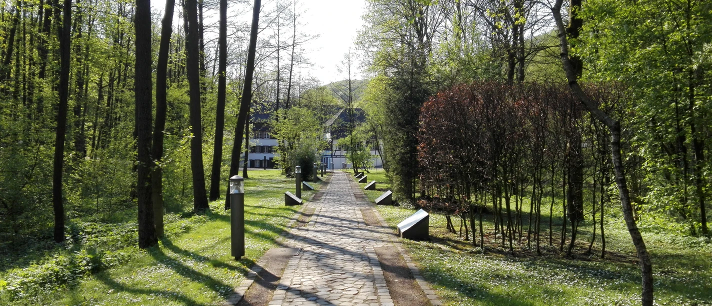 Alte Dombach Steinerner Weg zwischen Bäumen, führt zu einem Haus in sonniger Waldlandschaft in Bergisch Gladbach.
