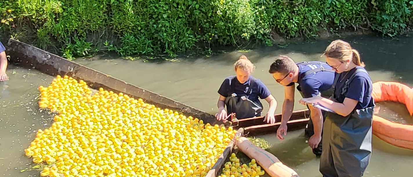 (c) Sabine Stahl_Entenrennen Zieleinlauf.jpg