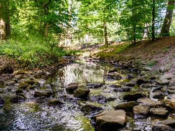Teutoburger Wald | Versmold | M. Wallenfang Der Aabach in Versmold