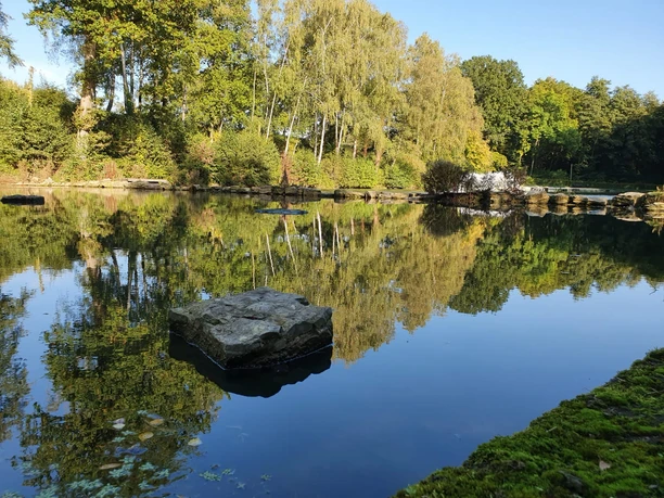 Ein ruhiger See mit klarer Spiegelung der umgebenden Bäume, darunter Birken, an einem sonnigen Tag.