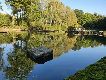 Herford-Campingplatz Elisabethsee-Huelsewig.JPG Ein ruhiger See mit klarer Spiegelung der umgebenden Bäume, darunter Birken, an einem sonnigen Tag.