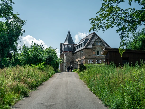 Eine historische Burg mit Turm und Naturpfad, umgeben von üppigem Grün und blauem Himmel.