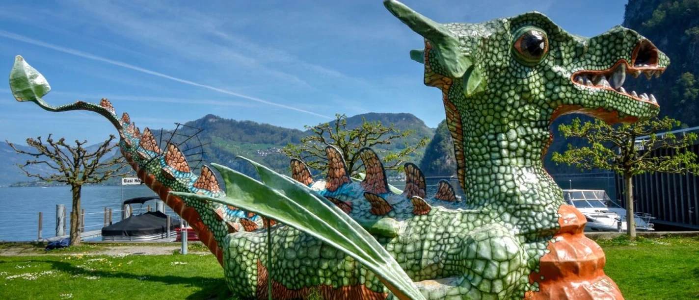 Drachen auf dem Glasi-Park