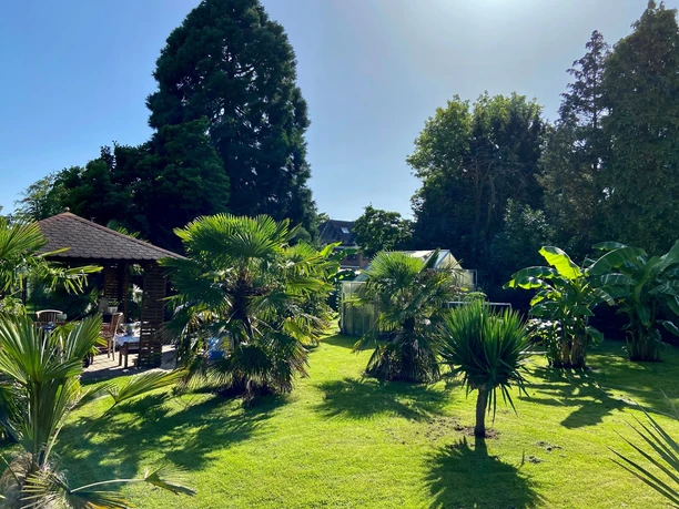 Der großzügige Palmengarten