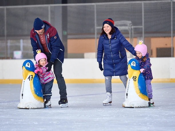 Sportcard, Eiszentrum Luzern