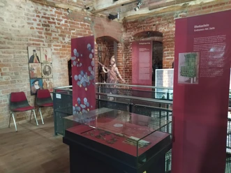 Schlossturm-Ausstellung.jpg
