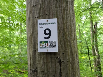 Märchenwald_Rundweg_Beschilderung_Station.jpg