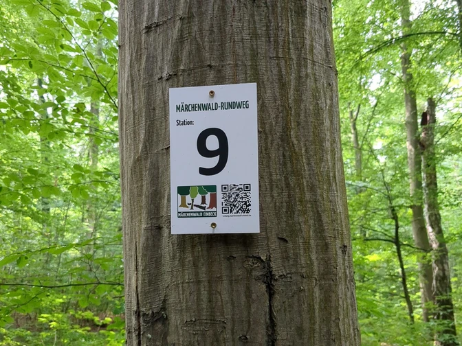 Märchenwald_Rundweg_Beschilderung_Station.jpg