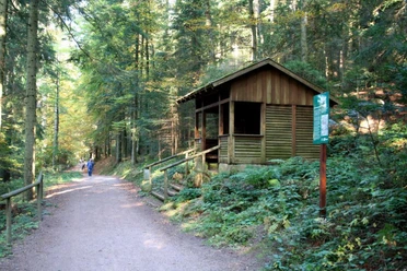 Tannenhütte