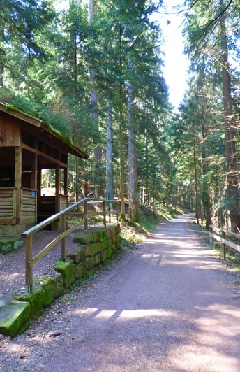 die Tannenhütte am Teuchelweg