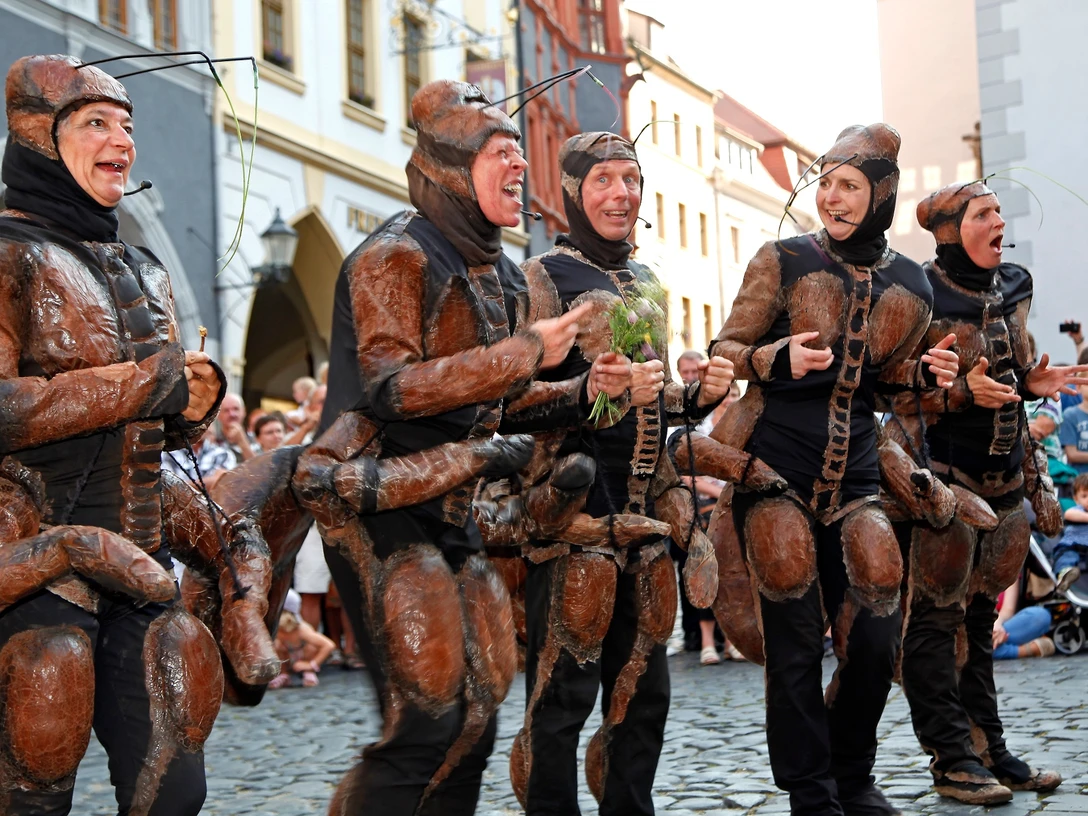 ViaThea - Internationales Straßentheaterfestival