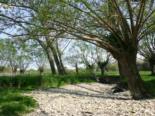 Naturschutz- & Erholungsgebiete Pöppelschetal