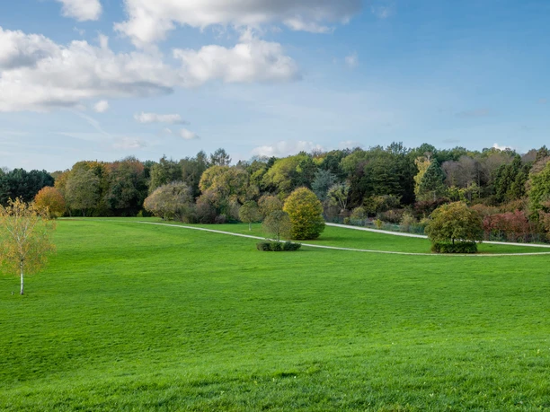 Forstbotanischer Garten Weitläufige, grüne Wiese im Forstbotanischen Garten, gesäumt von herbstlich gefärbten Bäumen unter blauem Himmel.