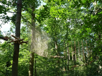 Kletterwald Deutsche Bank Park