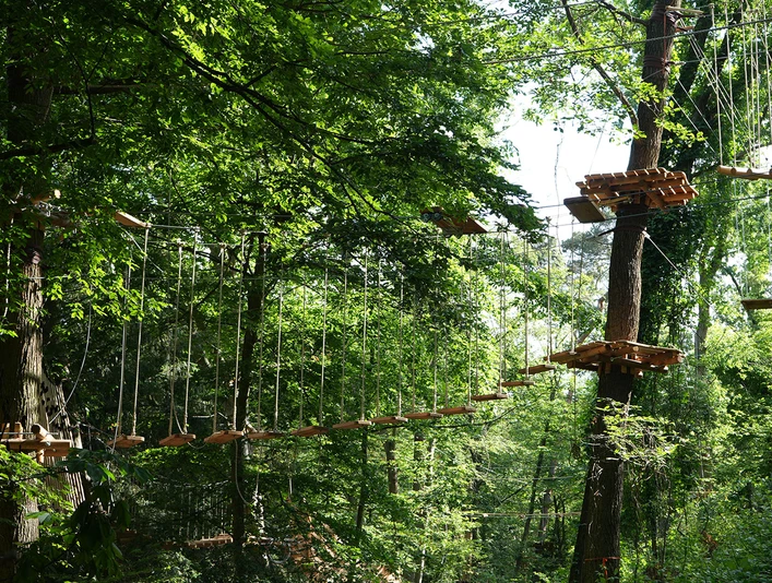 Kletterwald im Deutsche Bank Park