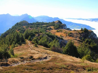 Herbstliche Flora auf dem Risetestock.
