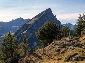Herbstliche Ausblick von der Risete auf den Schimbrig.