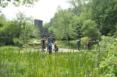 © Naturlehrgebiet Buchwald Dominik Henseler