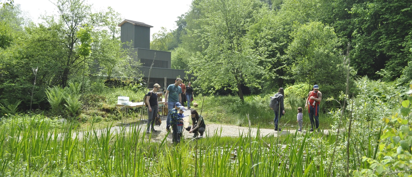 © Naturlehrgebiet Buchwald Dominik Henseler