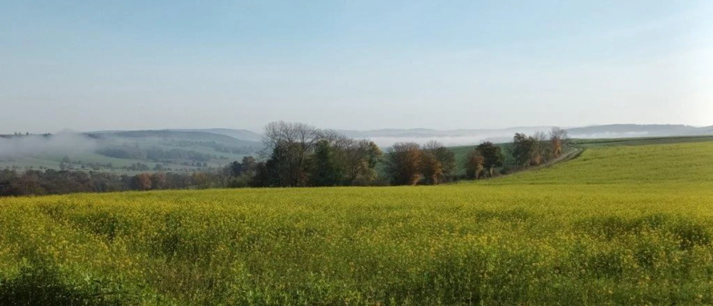 Egge Talblick Egge Talblick