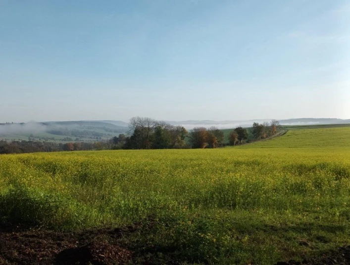 Egge Talblick Egge Talblick