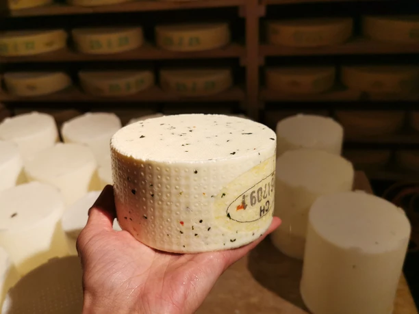 Mutschli are removed from the mould Mutschli are removed from the mould