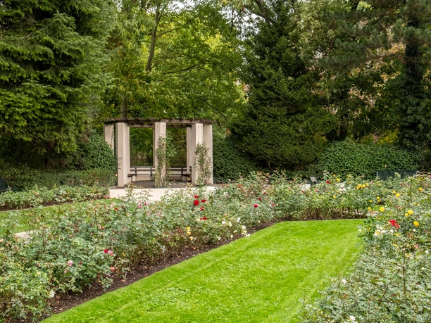 Rosengarten im Fort X Der Rosengarten am Fort X in Köln erstreckt sich unter hohen Bäumen und bietet einen Pavillon, umgeben von bunten Rosenblüten und gepflegten Rasenflächen.