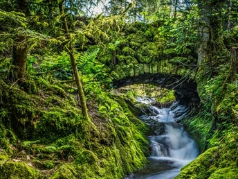 Romatische Brückle - Steinbrücke und Gottschlägbach