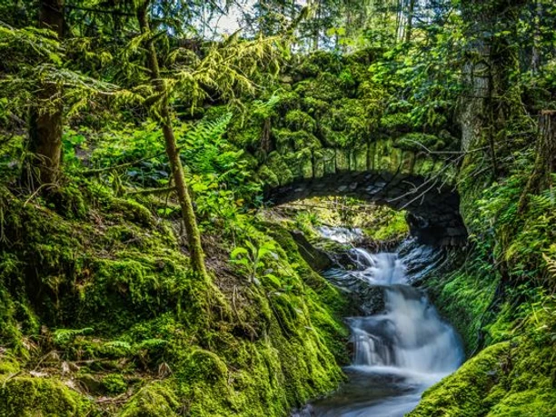 Romatische Brückle - Steinbrücke und Gottschlägbach