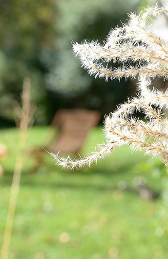 Ferienwohnung Am Molopark