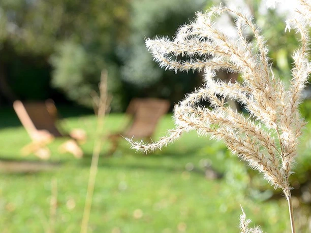 Ferienwohnung Am Molopark