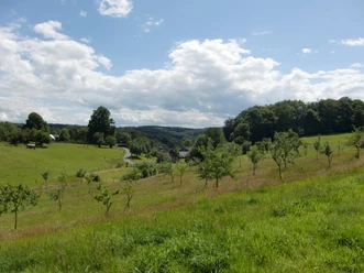 Streuobstwiese bei Thier Grüne Wiesenlandschaft in Wipperfürth mit sanften Hügeln unter blauem Himmel und vereinzelten Wolken.