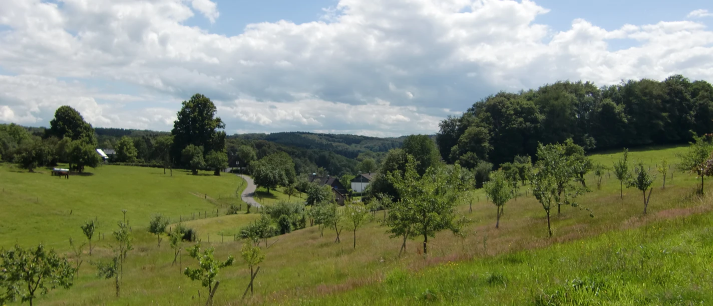 Streuobstwiese bei Thier Grüne Wiesenlandschaft in Wipperfürth mit sanften Hügeln unter blauem Himmel und vereinzelten Wolken.