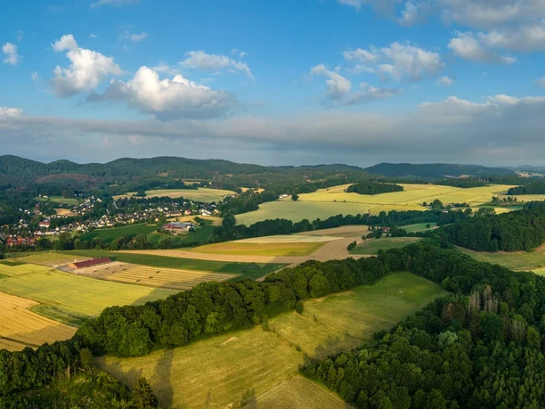 lage-hoerster-egge-teutoburger-wald-tourismus-d-ketz-005-jpg.jpg Panorama des Teutoburger Waldes mit weiten Feldern, sanften Hügeln und bewaldeten Abschnitten.