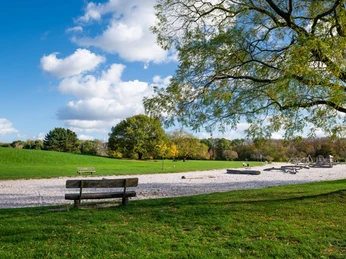 Forstbotanischer Garten Ein sonniger Tag im Forstbotanischen Garten, Bäume werfen Schatten auf grüne Wiesen, eine leere Parkbank im Vordergrund.A sunny day in the forest botanical garden, trees casting shadows on green meadows, an empty park bench in the foreground.