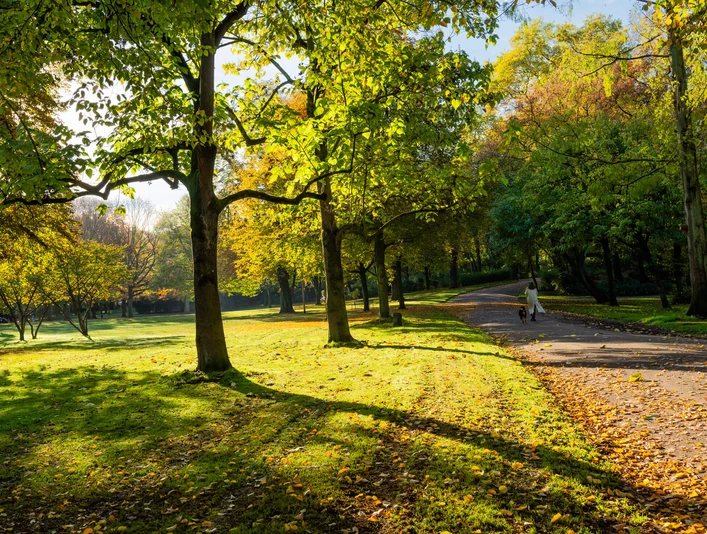 Ein Park mit sonnendurchfluteten Wegen, umgeben von herbstlich gefärbtem Laub und grünen Wiesen.A park with sun-drenched paths, surrounded by autumn-colored foliage and green meadows.