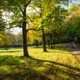 Volksgarten Ein Park mit sonnendurchfluteten Wegen, umgeben von herbstlich gefärbtem Laub und grünen Wiesen.A park with sun-drenched paths, surrounded by autumn-colored foliage and green meadows.