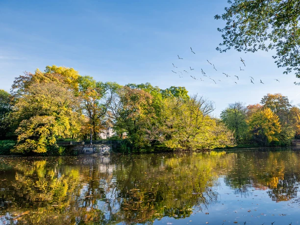 Volksgarten In the Volksgarten in Cologne, colorful autumn trees are reflected in the smooth water of the lake.
