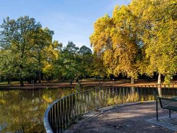 Volksgarten Blick von einer gepflasterten Uferpromenade auf einen herbstlich gefärbten Park mit ruhigem Teich.View from a paved promenade onto an autumn-colored park with a peaceful pond.