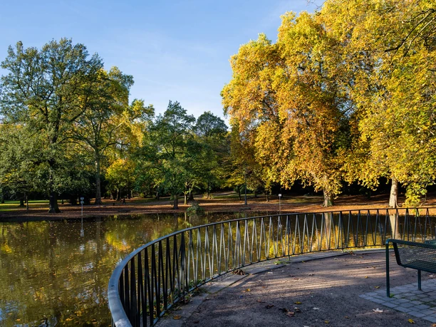 Volksgarten View from a paved promenade onto an autumn-colored park with a peaceful pond.