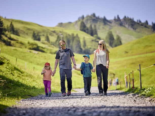 Goldi Safari - Familienwanderung 2