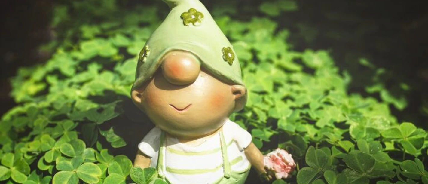 Wichtelwald_pixabay-768x512