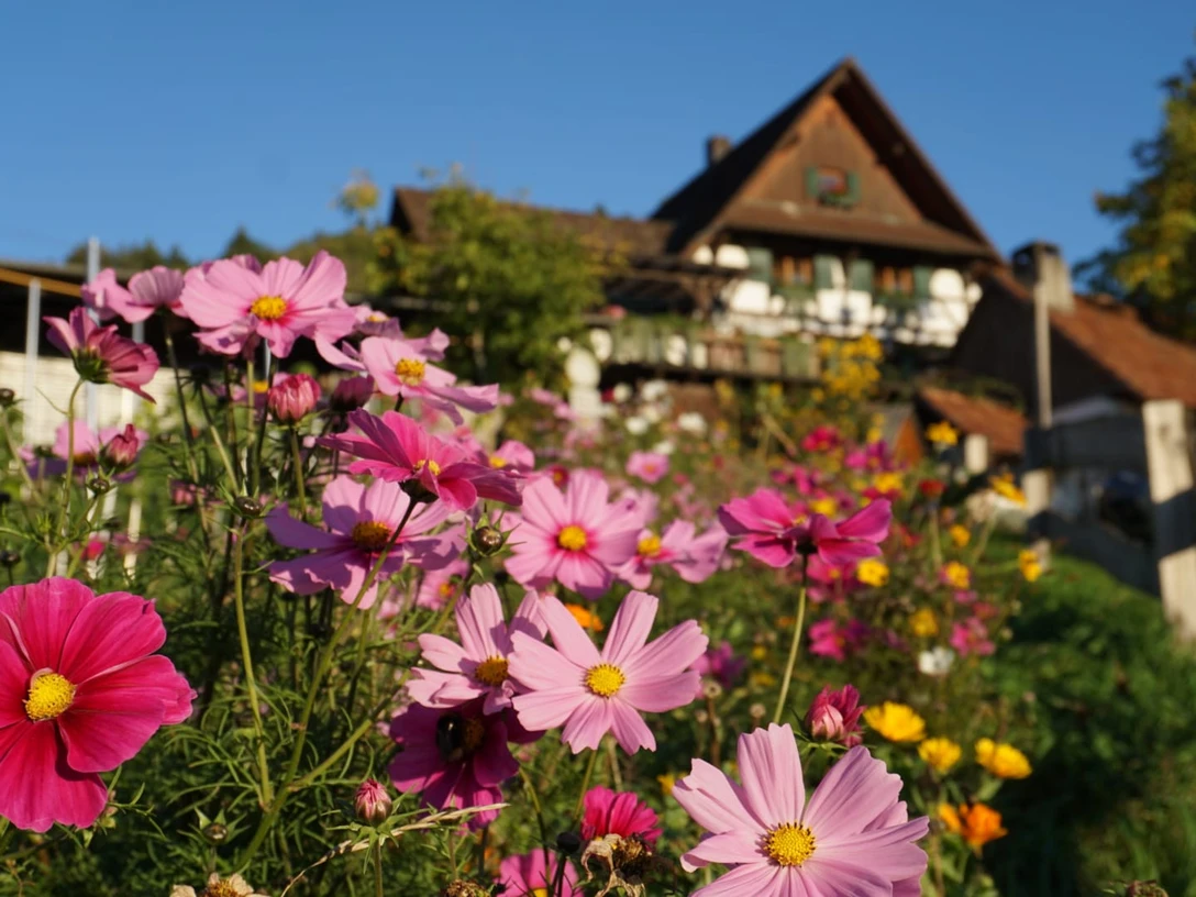 IMG-20221009-WA0032 (1)