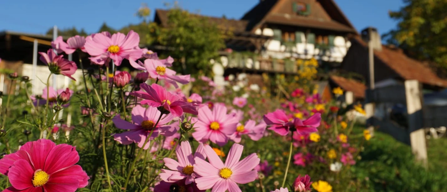 IMG-20221009-WA0032 (1)