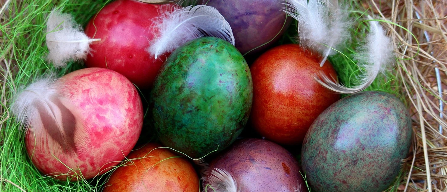 osternest_pixabay_KRiemer