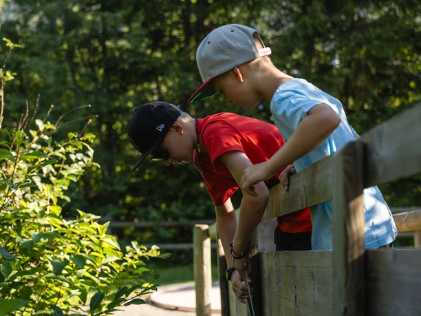 Sörenberg Sommer 2024