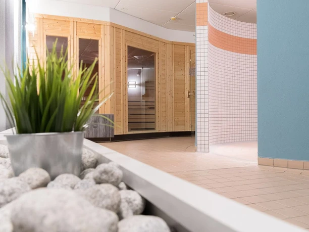 WhatsApp Image 2018-02-16 at 09.55.31