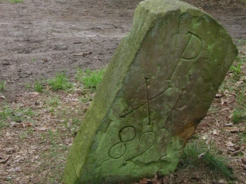 Grenzstein_quer.jpg Alter Grenzstein mit der Inschrift "KP 82" auf moosbedecktem Boden im Wald, leicht geneigt.