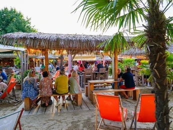 Aloha-Beachclub Herford, L Schneider (3).jpeg Menschen entspannen auf Holzsitzecken unter Palmen mit Strohschirmen, umgeben von sandigem Boden.